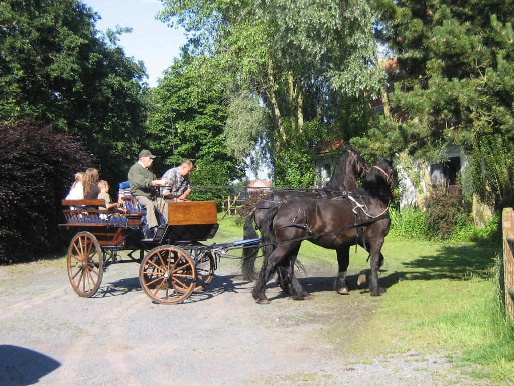 B&B Ter Castaigne Koekelare Zewnętrze zdjęcie