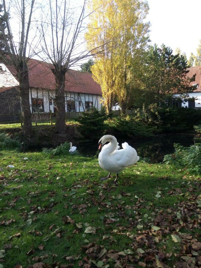 B&B Ter Castaigne Koekelare Zewnętrze zdjęcie